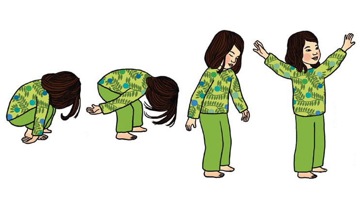 “Le petit yoga” : la plante qui pousse. Illustration : Ilya Green