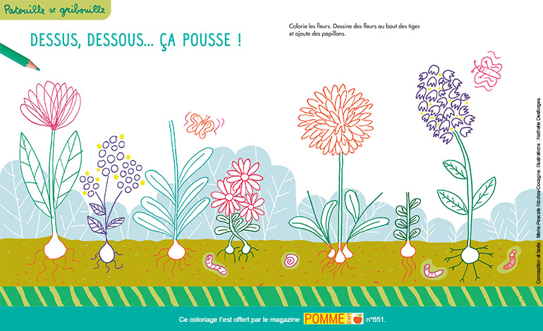 Coloriage nature : dessus, dessous… ça pousse !