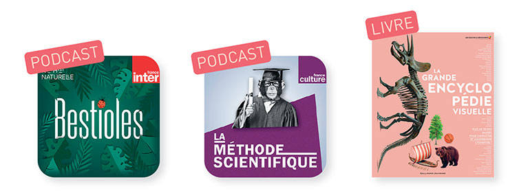 Podcasts “Bestioles”, “La méthode scientifique”.
Livre : “La grande encyclopédie visuelle”